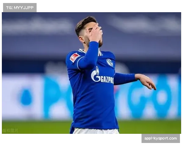 沙尔克04租借美因茨中场陶尔，为期一个半赛季